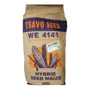 Hybrid Maize