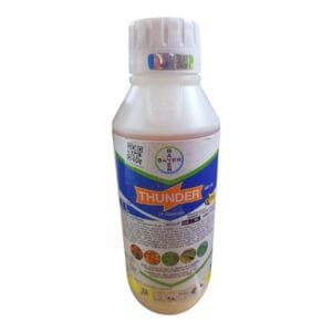 Thunder OD
