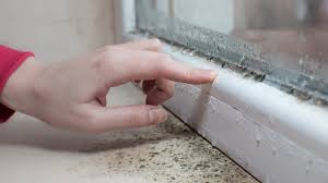 Seal entry points with Totalease Ventures