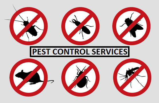 Totalease pest control services