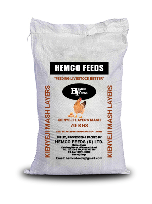 kienyeji layers mash