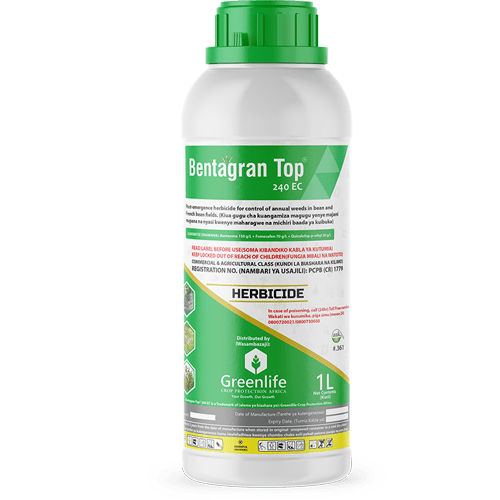 Bentagran Top