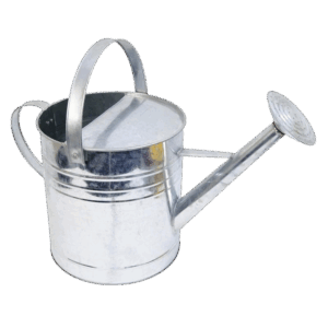Metallic Watering Can