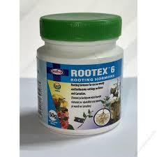 Rootex 6