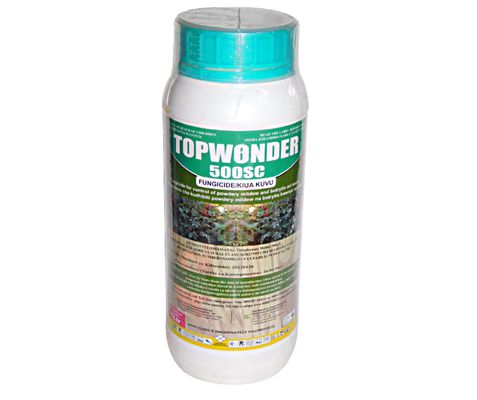 Topwonder 500SC