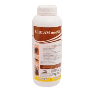 Bedlam