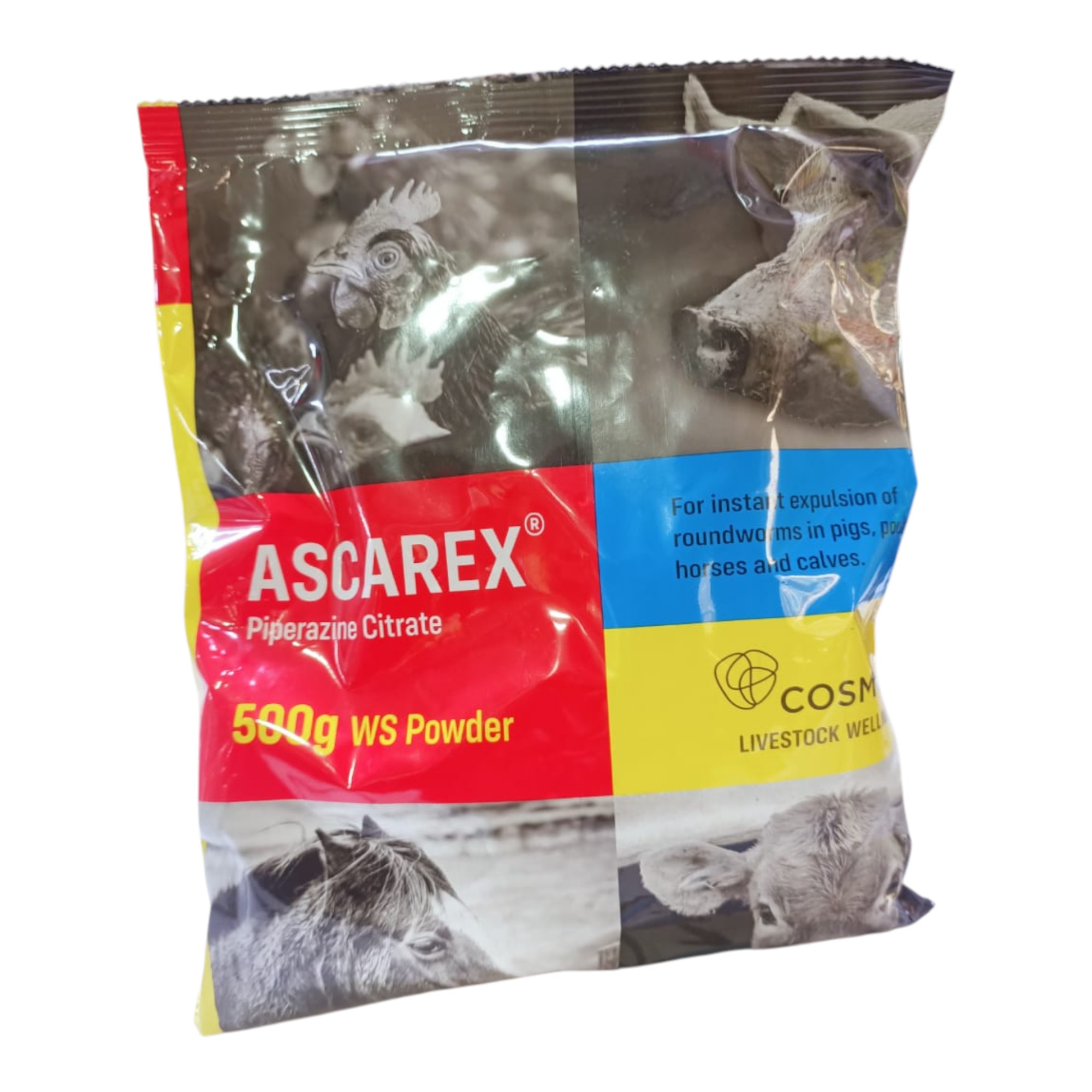 Ascarex
