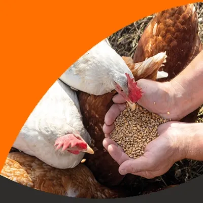 Agricultural Supplies