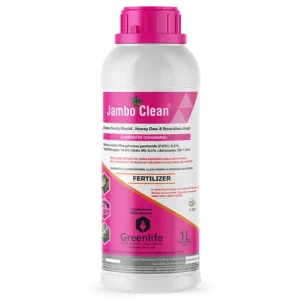 Jambo Clean