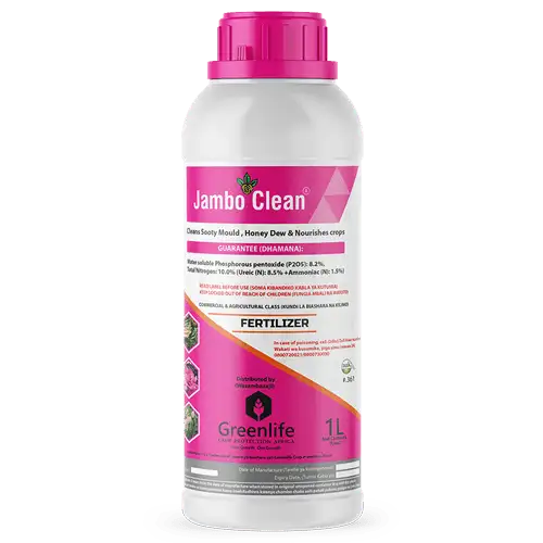 Jambo Clean
